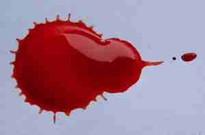 sangue