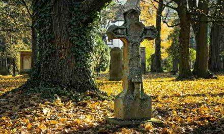 Cimitero nei sogni.  Cosa significa sognare il cimitero