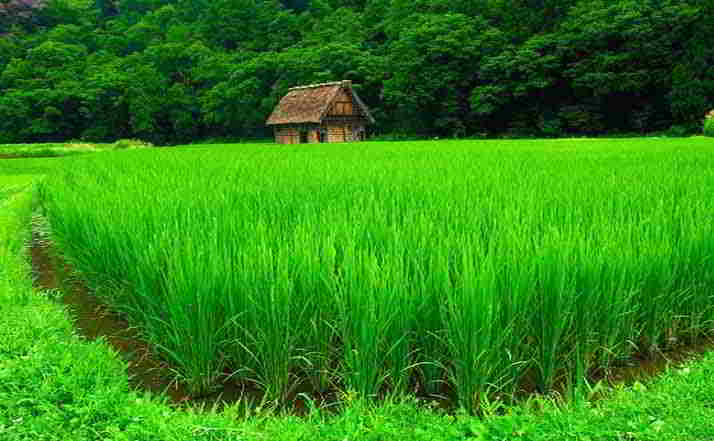 Sognare il colore verde Significato del verde nei sogni