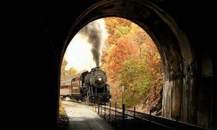 Sognare di essere in una galleria mentre arriva un treno Il sogno di Andrea