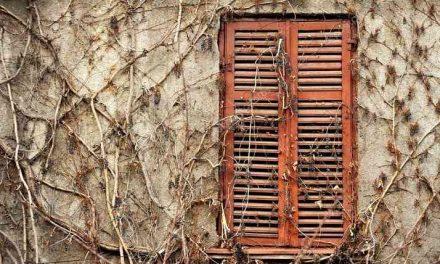 Sognare una casa sinistra con le finestre marroni il sogno di Angelo