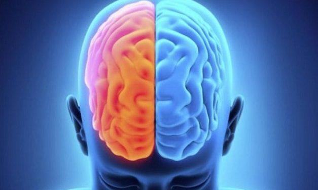 TEST: Quale emisfero cerebrale influenza i tuoi comportamenti e i tuoi sogni?