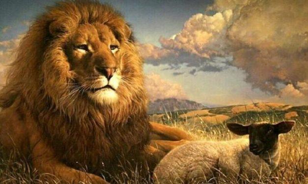Sognare un leone in mezzo alle pecore Il sogno di Andrea