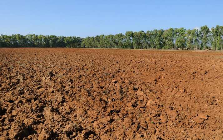 Sognare il colore marrone Simbolismo e significato del marrone nei sogni