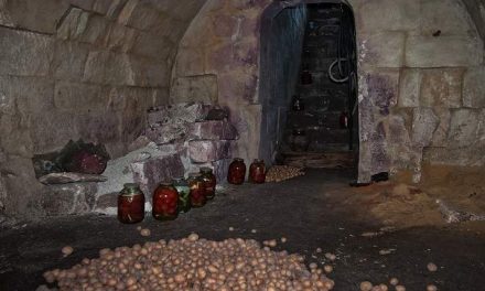 Sognare la CANTINA  Significato di Cantine, Scantinati e Sotterranei nei Sogni