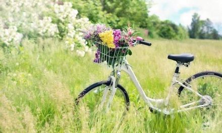 Sognare BICICLETTA Significato delle Biciclette nei Sogni