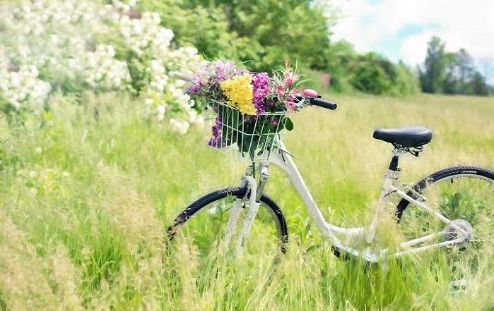 Sognare BICICLETTA Significato delle Biciclette nei Sogni