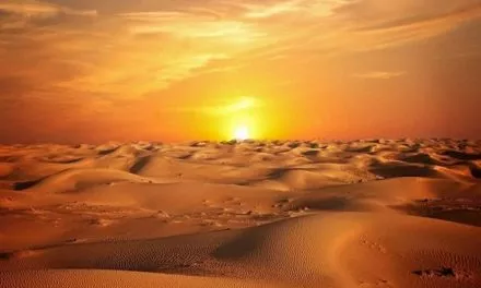 Sognare il DESERTO   Simbolismo e Significati del Deserto nei Sogni