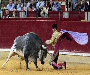 sognare toro che incorna qualcuno