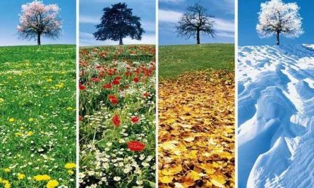 Sognare le STAGIONI  Significato di Primavera Estate Autunno Inverno nei Sogni