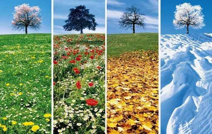 Sognare le STAGIONI  Significato di Primavera Estate Autunno Inverno nei Sogni