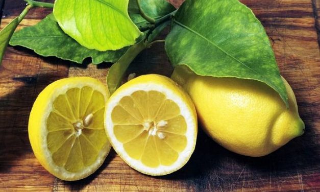 Sognare LIMONE  Simbolismo di Limoni e Pompelmi nei sogni