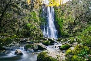 sognare-cascata-nel-bosco