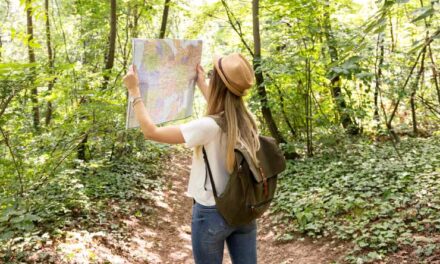 Sognare di CERCARE qualcosa o qualcuno Simbolismo della Ricerca nei Sogni