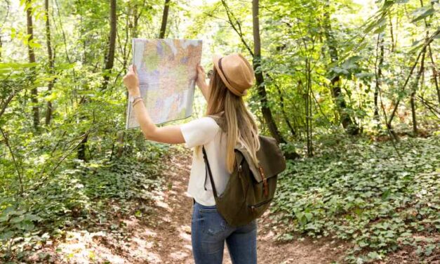 Sognare di CERCARE qualcosa o qualcuno Simbolismo della Ricerca nei Sogni