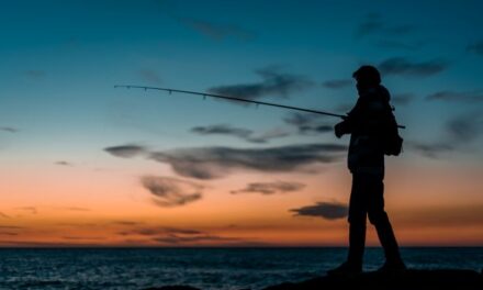 Sognare di PESCARE Simbolismo e Significato della Pesca e del Pescatore nei Sogni