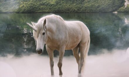 Sognare un UNICORNO Simbolismo e Significato