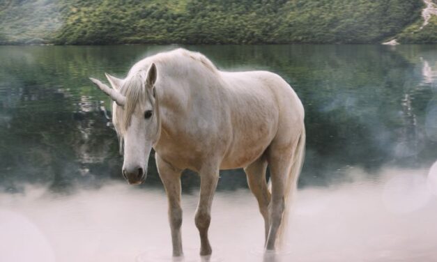 Sognare un UNICORNO Simbolismo e Significato