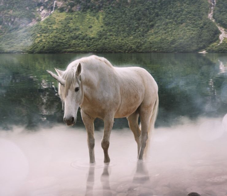 Sognare un UNICORNO Simbolismo e Significato