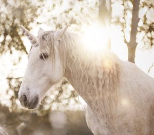 sognare-unicorno-bianco