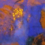Animus Junghiano  La funzione Maschile nella Psiche Femminile