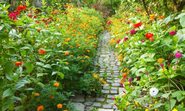 Sognare un GIARDINO Significato di Giardini e Parchi nei Sogni