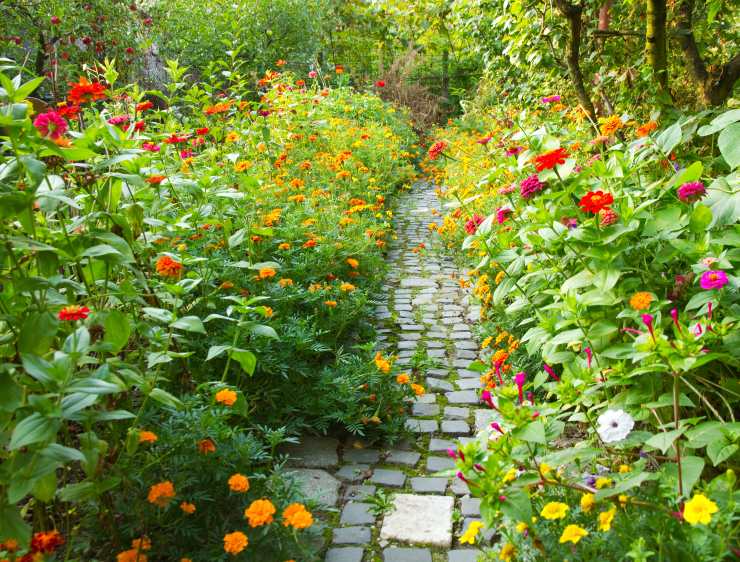 Sognare un GIARDINO Significato di Giardini e Parchi nei Sogni